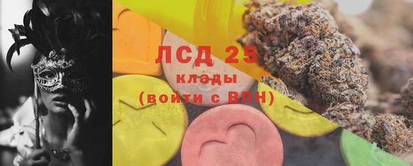 трава Белокуриха