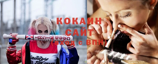 трава Белокуриха