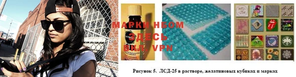 трава Белокуриха