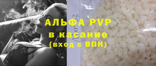 трава Белокуриха