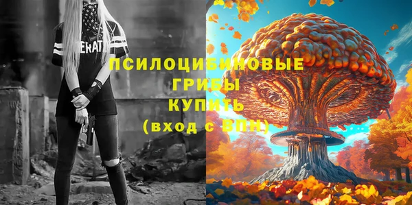 PSILOCYBIN Богданович
