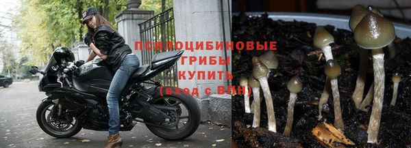 мет Богородск