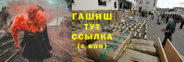 трава Белокуриха