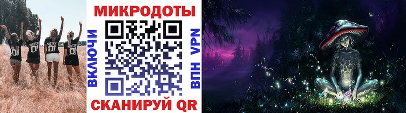 закладка  Кондрово  Галлюциногенные грибы Magic Shrooms 
